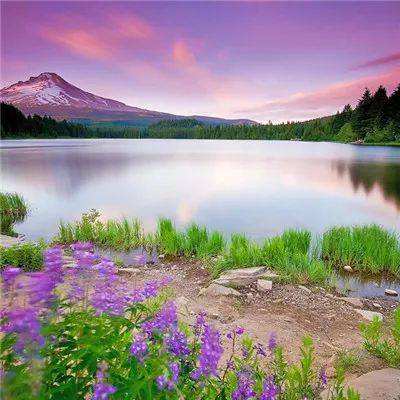 江南app下载官网